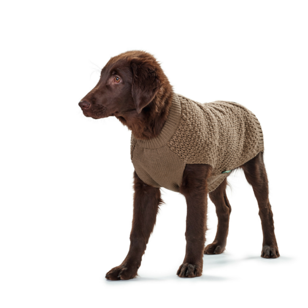 Maglioncino Pullover per Cani MALMÖ Beige Hunter