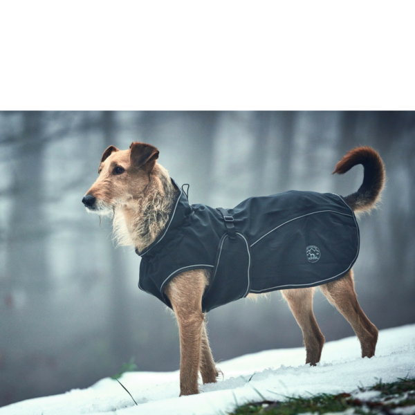 Cappottino Uppsala Hunter per Cani Nero