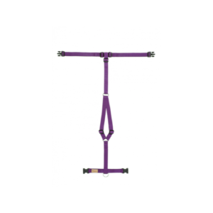 Haqihana Pettorina in Nylon Viola