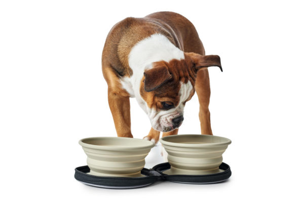Hunter Ciotole da Viaggio per Cani in Silicone a Borsa Hunter