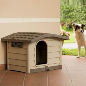 Cuccia per Cani da Esterno Bungalow Bama Pet