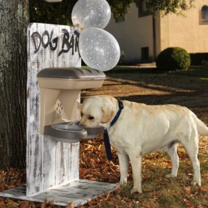 Ciotole Food Stand Maxi per Cani Bama Pet