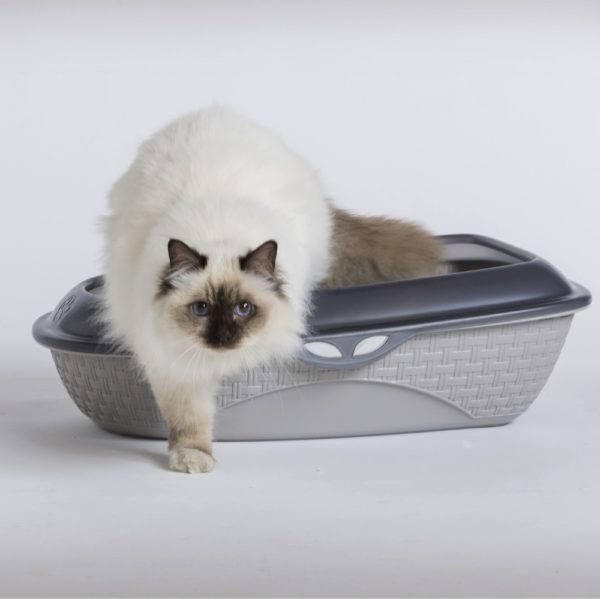 Lettiera per Gatti Aperta Sabbia Bama Pet