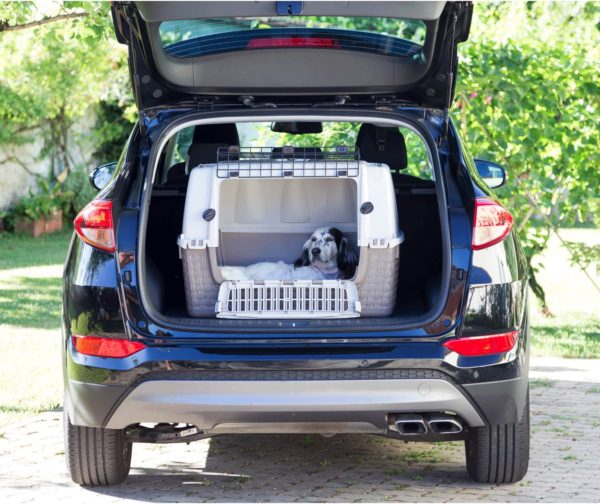 Trasportino Easy Tour Bama Pet