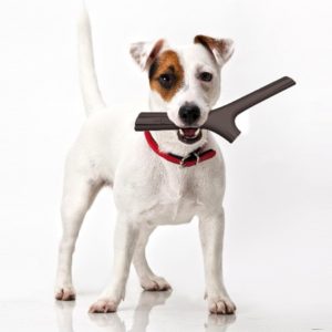 Gioco per Cani Tuttomio Mini Bama Pet