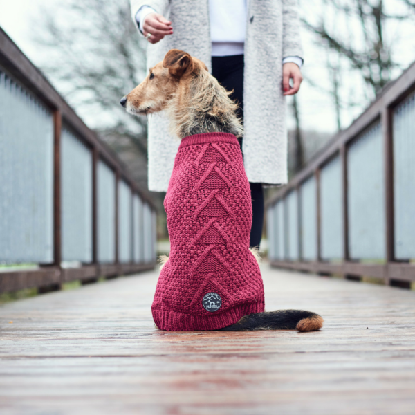 Maglioncino Pullover Per Cani MALMÖ Bordeaux Hunter
