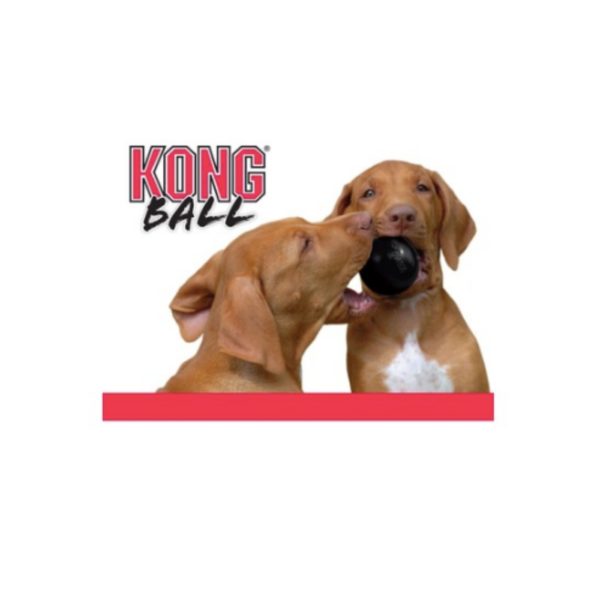 Kong Palla Extreme Media/Grande per Cani