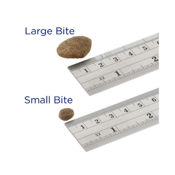 Fish4Dogs Finest Adult Salmone SMALL per Cani - Sacco da 6 Kg - immagine 2
