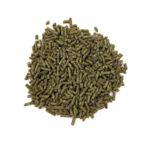 Oxbow Essential Adult Guinea Pig Food 2,27Kg - pellet