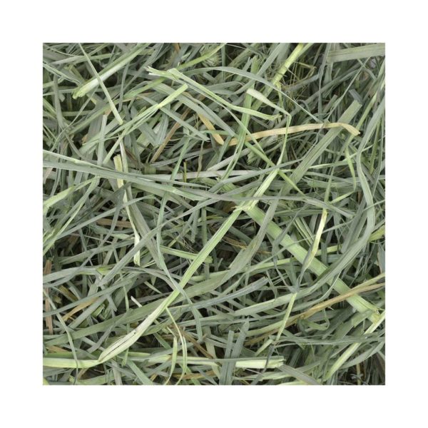 Fieno Oxbow Orchard Grass Hay - fieno