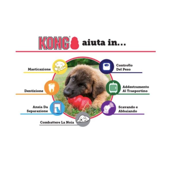 Kong Classic Gioco per Cani Large - funzione
