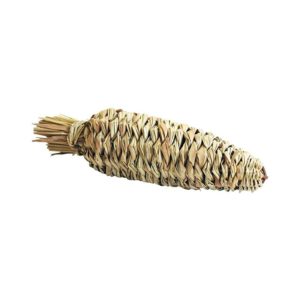 Carota di Fieno per Roditori e Conigli Happy Pet