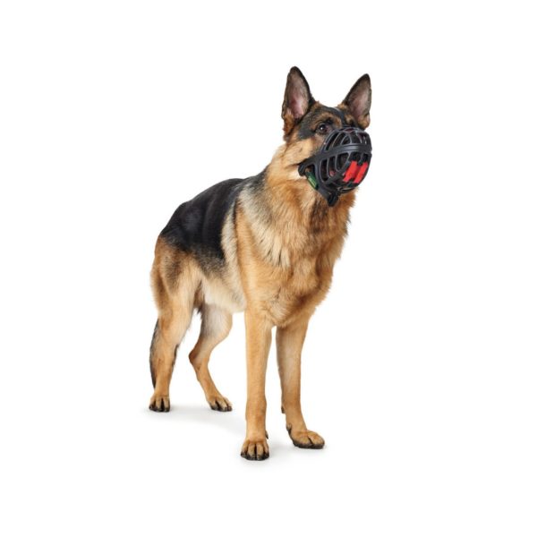 Hunter Museruola Albury per Cani Nera - Cane