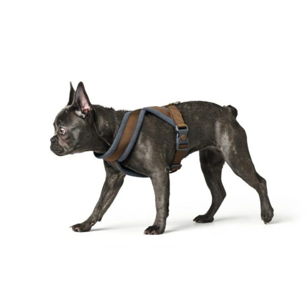 Hunter Pettorina per Cani London Comfort Marrone - Vestibilità