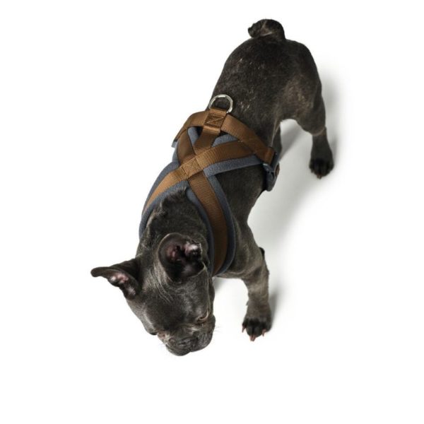 Hunter Pettorina per Cani London Comfort Marrone - Vestibilità panoramica