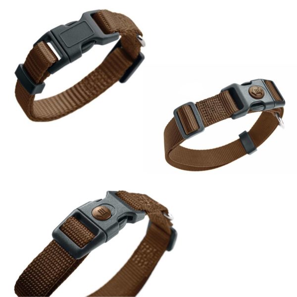 Hunter Collare per Cani London VB Marrone