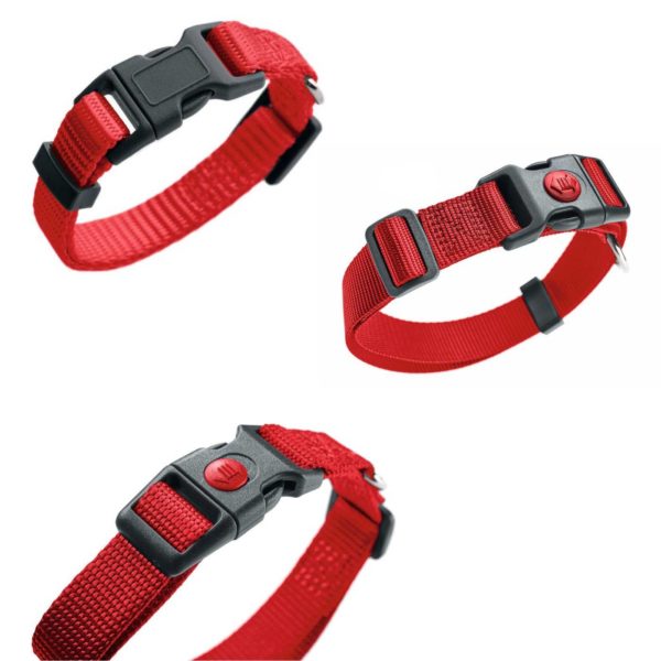 Hunter Collare per Cani London VB Rosso - 2