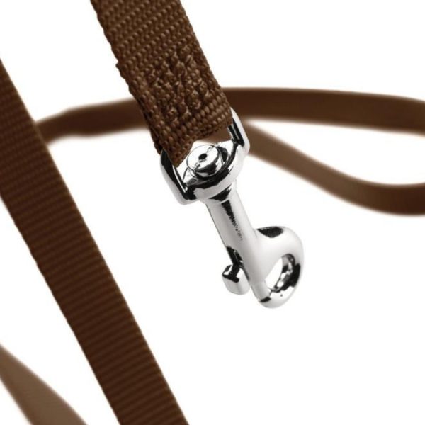 Hunter Guinzaglio per Cani London Marrone - Moschettone