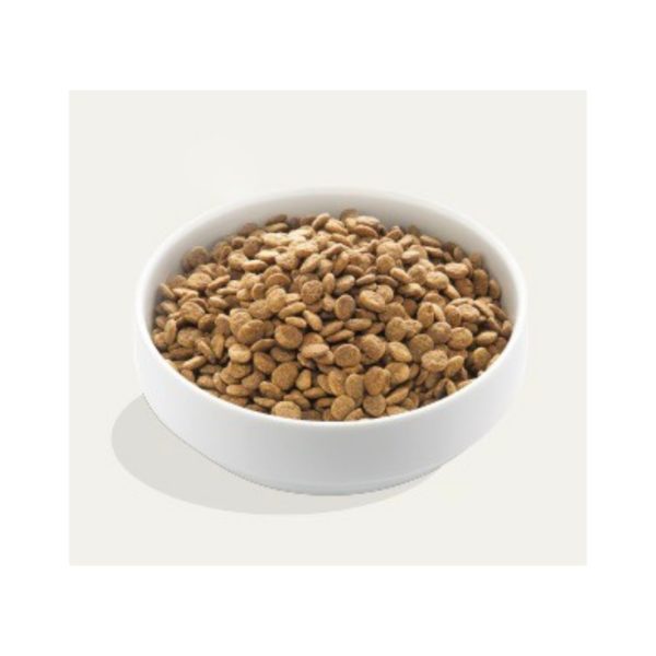 12Kg Edgard & Cooper Agnello per Cani Adulti - Crocchette