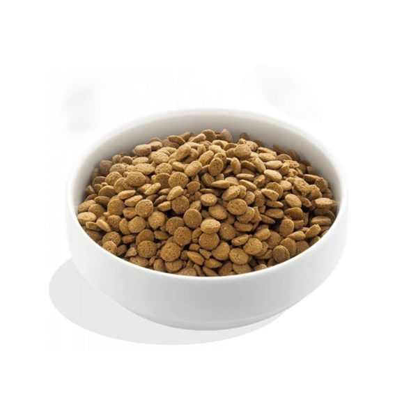 2,5Kg Edgard & Cooper Salmone Norvegese per Cani Adulti - Crocchette