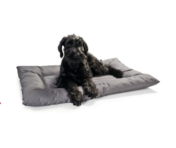 Hunter Cuscino Letto per Cani Gent Grigio 60x80cm
