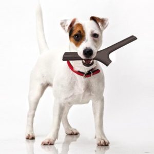 Gioco per Cani Tuttomio Baby Bama Pet