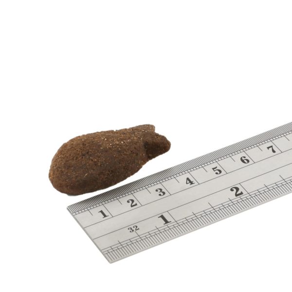 Fish4Dogs Digestion White Fish Morsels Premi Snack per Cani - Dimensione