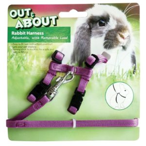 Happy Pet Set Pettorina Regolabile con Guinzaglio per Conigli