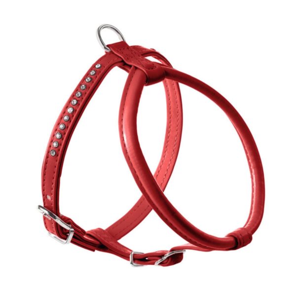 Hunter Pettorina Modern Art R&S Petit Luxus Rosso per Cani