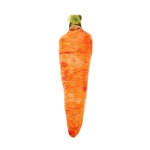 Ferribiella Gioco in Matatabi Carota per Gatti