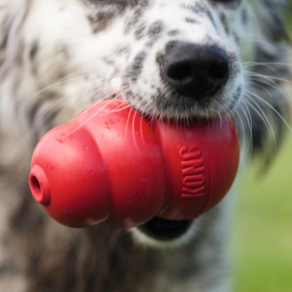 Kong Classic Gioco per Cani - immagine 8