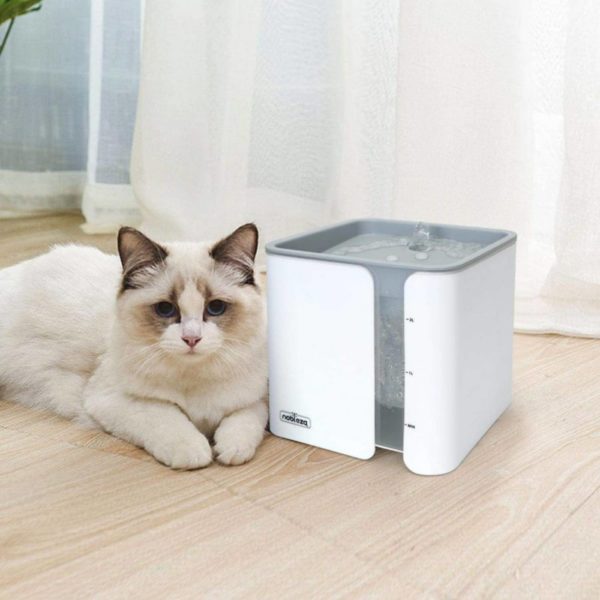 Fontana per Animali Domestici 2Lt