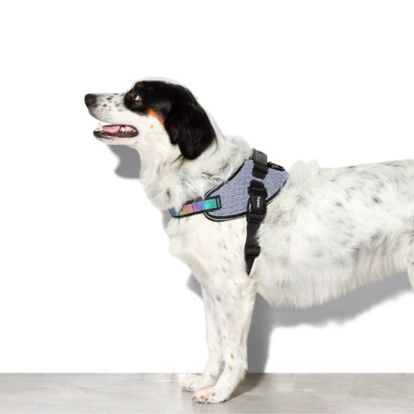 Zee.Dog Pettorina con Maniglia Urban per Cani - Vestibilità