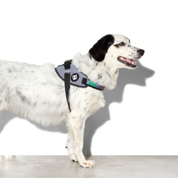 Zee.Dog Pettorina con Maniglia Urban per Cani - Cane