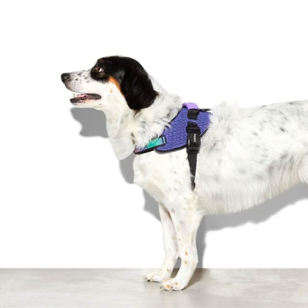Zee.Dog Pettorina con Maniglia Wicked per Cani - Vestibilità