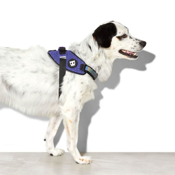 Zee.Dog Pettorina con Maniglia Wicked per Cani - Cane
