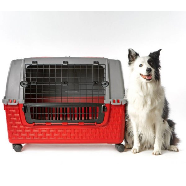 Bama Pet Trasportino Easy Tour con Ruote Bordeaux