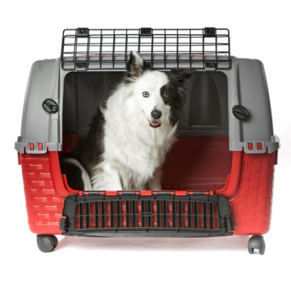 Bama Pet Trasportino Easy Tour con Ruote Bordeaux