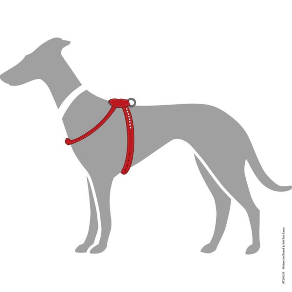 Hunter Pettorina Modern Art R&S Petit Luxus Rosso per Cani