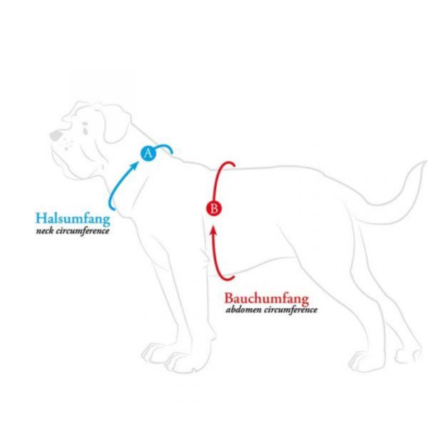 Hunter Pettorina Modern Art R&S Petit Luxus Rosso per Cani - immagine 3