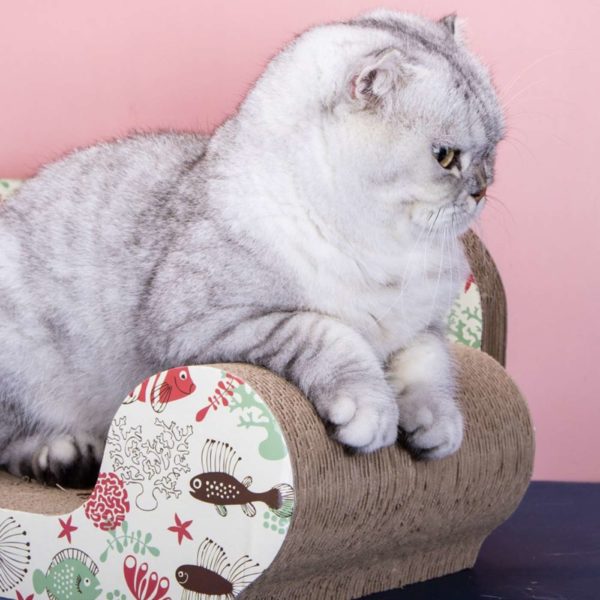 Tiragraffi Divanetto Pesciolini per Gatti Nobleza - Utilizzo con gatto