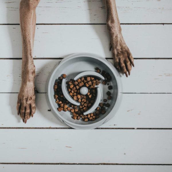 Hunter Ciotola Anti-Ingozzamento 900ml in Melamina Grigia - Riempimento