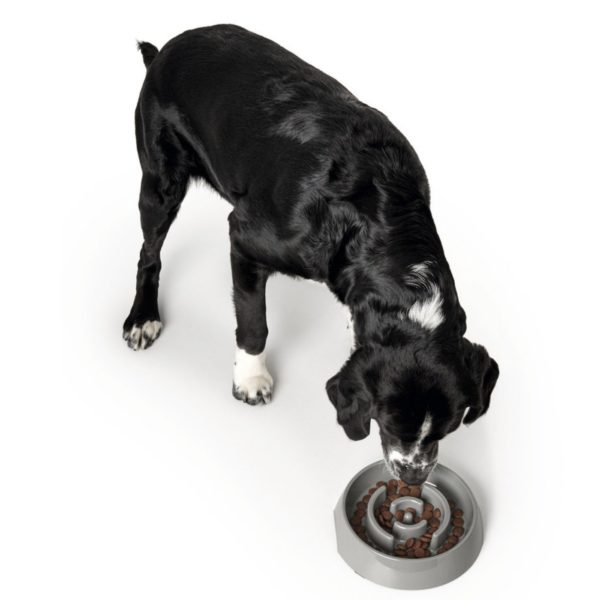 Hunter Ciotola Anti-Ingozzamento 900ml in Melamina Grigia - Cane 4