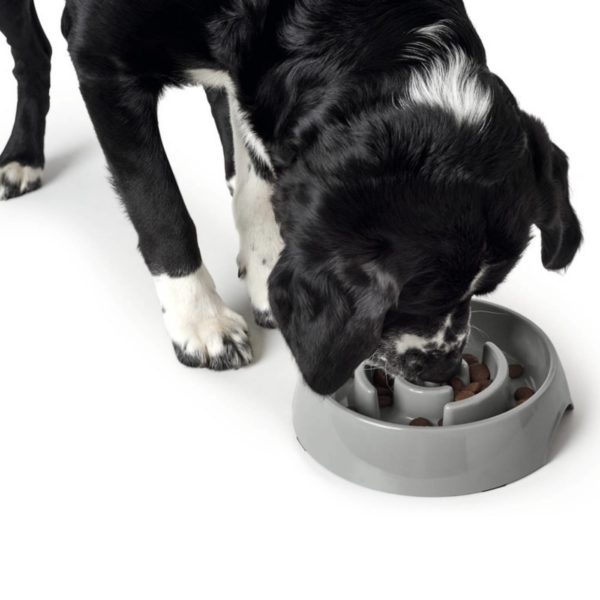 Hunter Ciotola Anti-Ingozzamento 900ml in Melamina Grigia - Cane 5