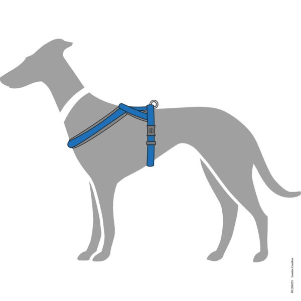 Hunter Pettorina per Cani London Comfort Azzurra - Vestibilità