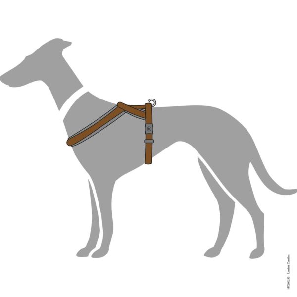 Hunter Pettorina per Cani London Comfort Marrone - Utilizzo