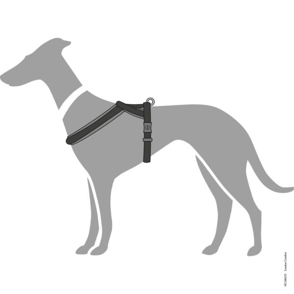 Hunter Pettorina per Cani London Comfort Nera - Vestibilità