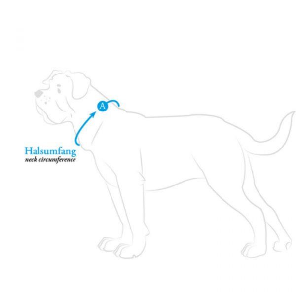 Hunter Collare per Cani London VB Rosso - Circonferenza collo