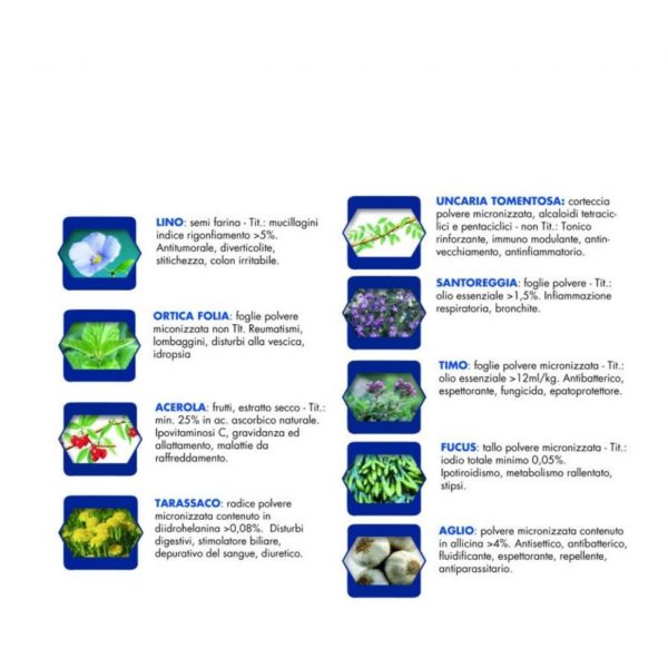 Vet Line Umido Forma Salute Coniglio e Lepre per Gatti 85g - Erbe officinali
