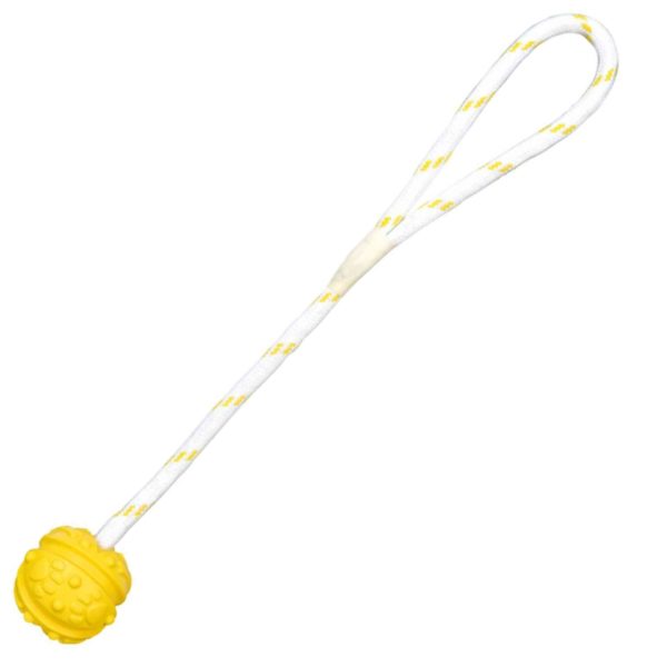 Trixie Gioco Acquatico Palla con Corda d.4,5cm/35cm per Cani Galleggiante